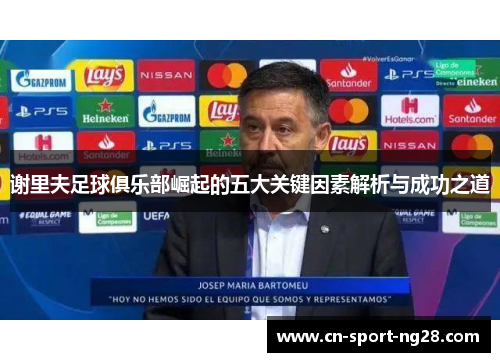 谢里夫足球俱乐部崛起的五大关键因素解析与成功之道 谢里夫足球俱乐部崛起的五大关键因素解析与成功之道