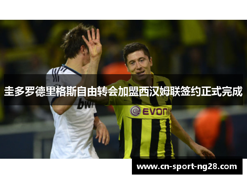 圭多罗德里格斯自由转会加盟西汉姆联签约正式完成 圭多罗德里格斯自由转会加盟西汉姆联签约正式完成